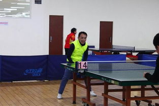 全民健身，國(guó)球杯系列賽引爆乒乓熱潮